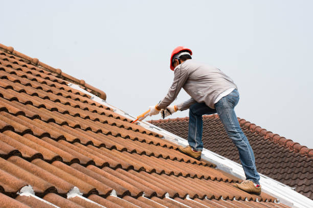 Best Wood Shake Roofing  in South Daytona, FL