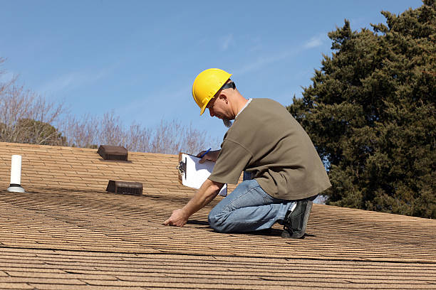 Best Roof Maintenance and Cleaning  in South Daytona, FL
